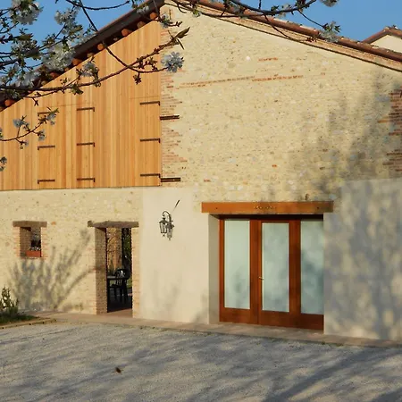 Belvilla By Oyo Ground Floor In Lejlighed Asolo